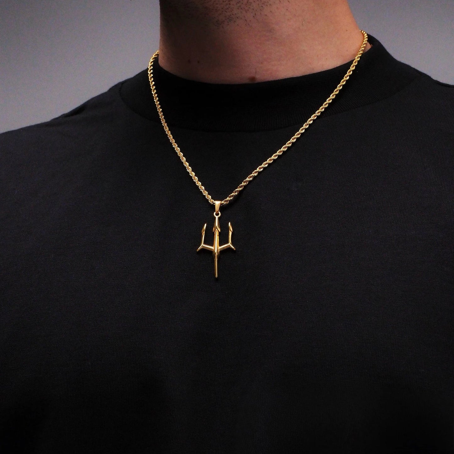 Neck pendant «AEGIS»