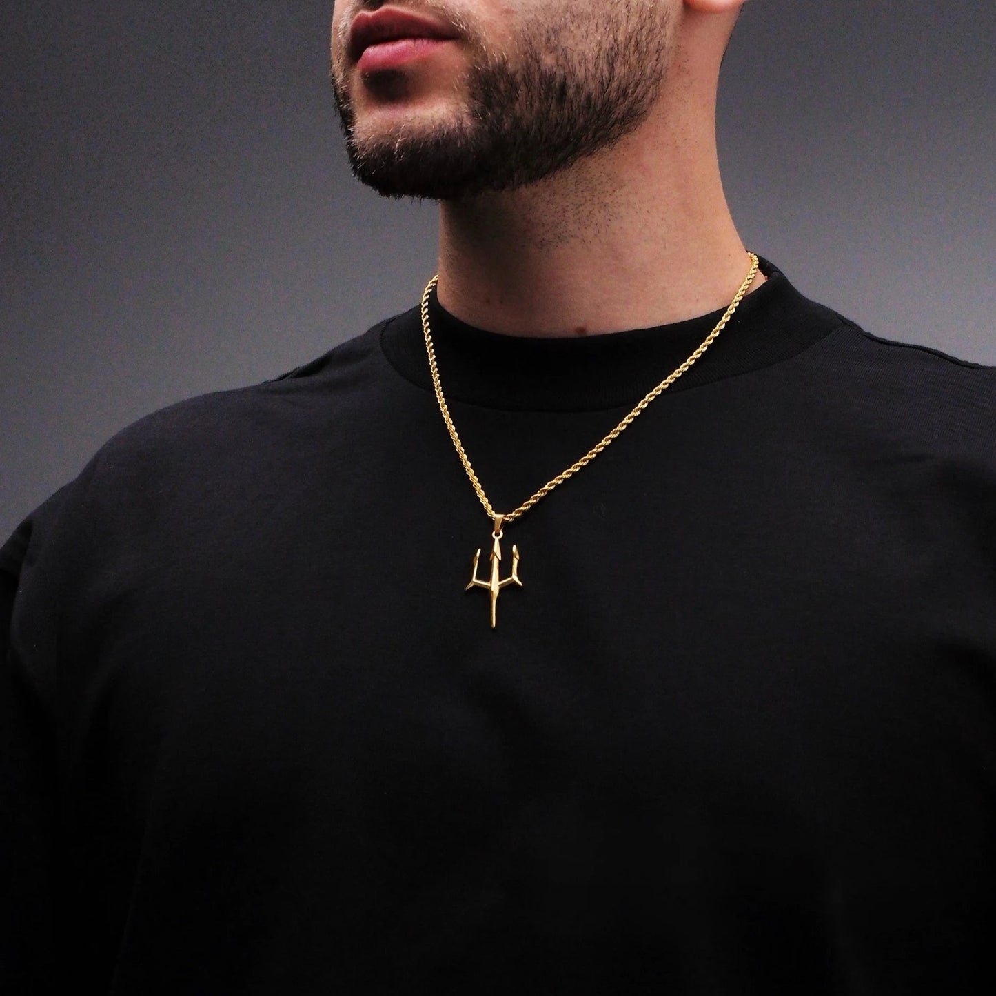 Neck pendant «AEGIS»