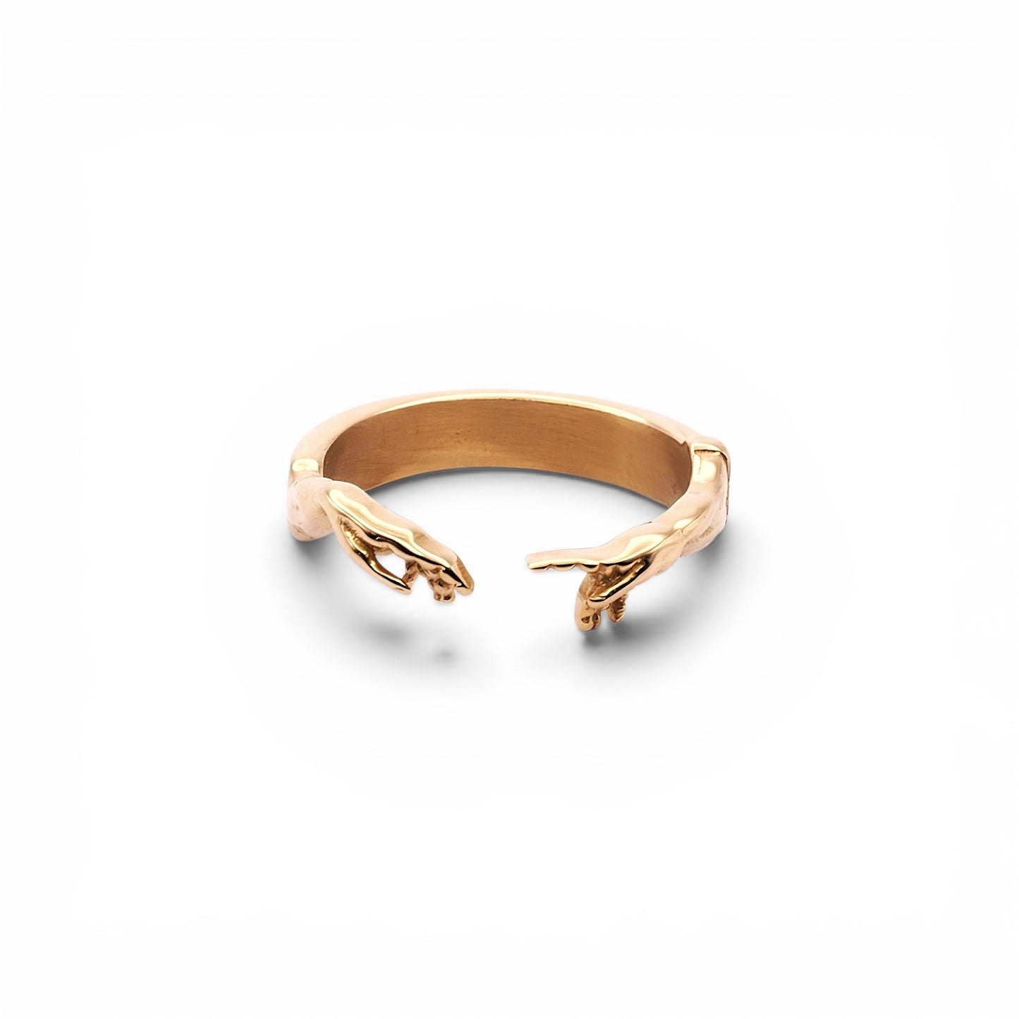 Ring «FIDE»