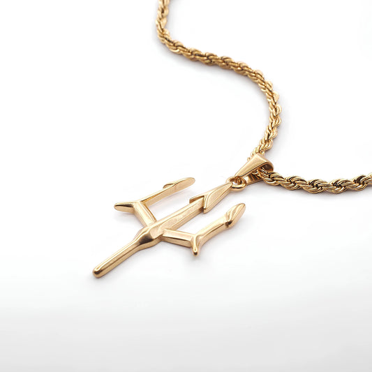 Neck pendant «AEGIS»