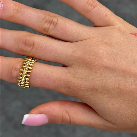 Ring «AEGIS»