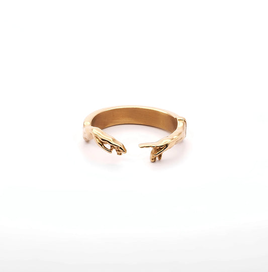 Ring «FIDE»